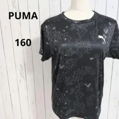 PUMA☆半袖　Tシャツ　スポーツ　ロゴプリント　男の子　女の子　160　黒