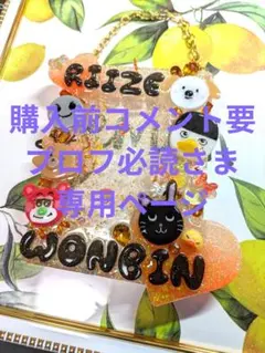 購入前コメント要プロフ必読さま専用ページ