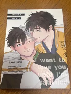 ウィンブレ 同人誌 かめさく