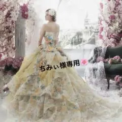 ちみぃ♡様 リクエスト 2点 まとめ商品