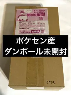 未開封 ポケモンセンターヒロシマ スペシャルBOX