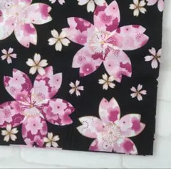 和柄 ハギレ 黒 桜