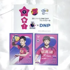 SVリーグ グレベア 深津旭弘 古賀太一郎 トレカ フェイスシール