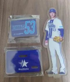 横浜ベイスターズ BlueMates アクリルスタンド 中川颯