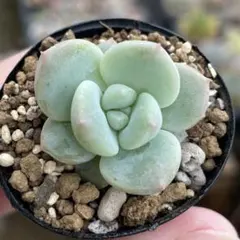 ms.94様 リクエスト 3点 まとめ商品