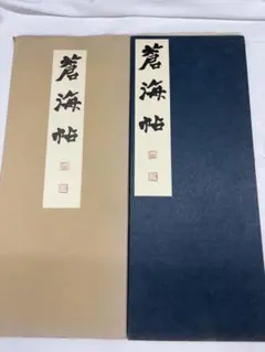 泰雲書範 第十卷 二体いろは帖 柳田泰雲 青蘭社 書道 教本 - メルカリ