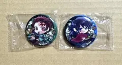 ぴた！でふぉめ 鬼滅の刃 無限城編弐 缶バッジ 竈門炭治郎＆冨岡義勇