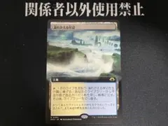 溢れかえる岸辺 4枚セット 中国語 多言語 旧枠 MH3 MTG - メルカリ