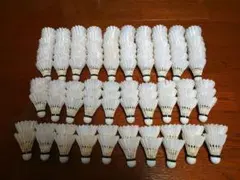 Item thumbnail for item 723056f4-7661-4ec9-b357-17e70d96b866