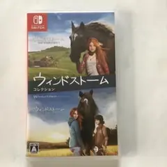 ニンテンドーSwitchソフト ウィンドストームコレクション 美品