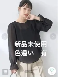 earth music & ecology キャンディスリーブ　シアーブラウス