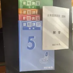 夏期講習 5年 算数 問題集