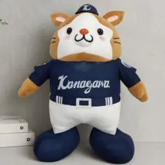 ご当地スターマン ベースボールシャツ シールセット ユニフォーム