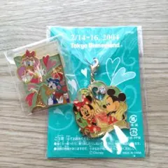 Disney　東京ディズニーランド　非売品 チャーム　ピンバッジ