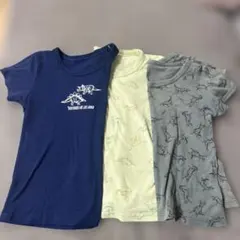 恐竜柄 肌着 3枚セット