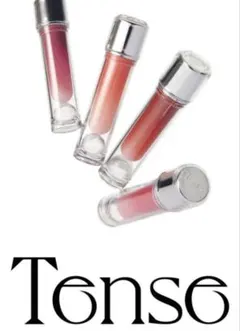 日本未発売 韓国 Tense テンスシャインモーメント グロッシーティント#12