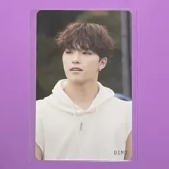 SEVENTEEN SECTOR17 HMV トレカ ディノ