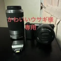 2026年最新】SONY NEX-5 ダブルズームキットの人気アイテム - メルカリ