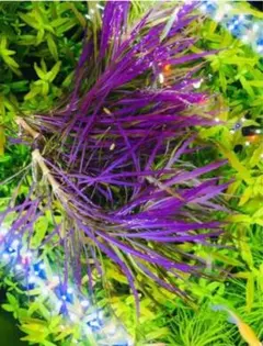 Kazu様 リクエスト 4点 まとめ商品