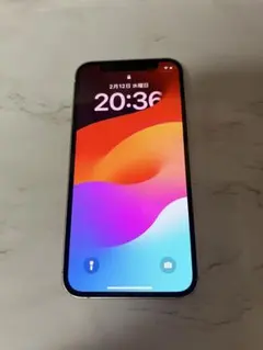 カ*テ様 iPhone12mini