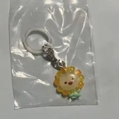 JOCHUM bira ぽぽ
