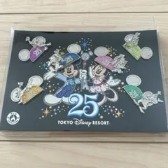 【TDR25周年】東京ディズニーランド　ピンバッジセット