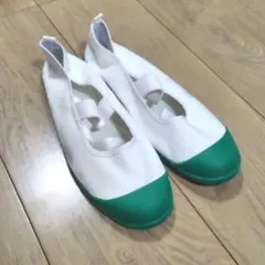 ムーンスター 上履き 緑