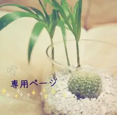 【ぽう様 専用】 非売品 ✩ SuperJunior クリアファイル セット