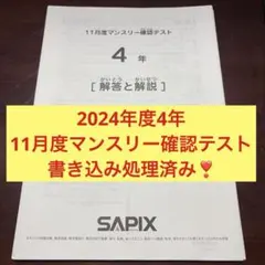 2026年最新】sapixの人気アイテム - メルカリ
