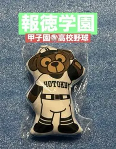 阪神タイガース 今朝丸裕喜 直筆サインボール ユニフォーム グッズ 阪神タイガース 今朝丸裕喜 直筆サインボール ユニフォーム