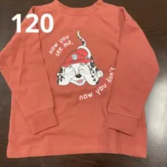 パウパトロール　ロンT120 マーシャル
