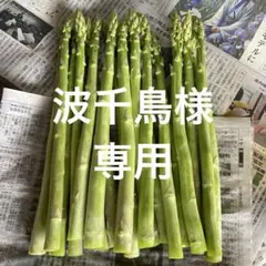 波千鳥様専用