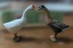 Item thumbnail for item 8f0c2ddc-b76a-469f-8c0b-8233d6556637