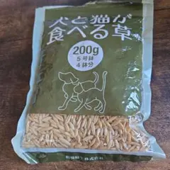 Item thumbnail for item 8e1a4d61-a775-4f83-8768-570912cdc3a1