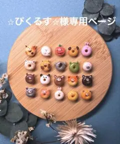 ⭐︎ぴくるす⭐︎様専用ページ