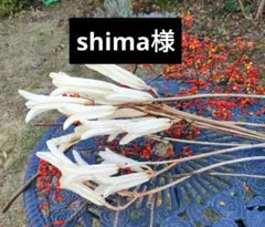 shima様 リクエスト 3点 まとめ商品