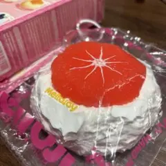値下げ可【24時間以内発送】mellojoy 大福シリーズ　グレープフルーツ