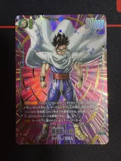 ドラゴンボールフュージョンワールド孫悟飯 SH R☆(パラレル)FB09-059