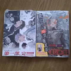 文豪ストレイドッグス 　二冊セット