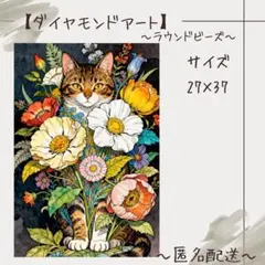 【ダイヤモンドアート】　ビーズアート　ラウンドビーズ　27×37　ねこ　ネコ　猫