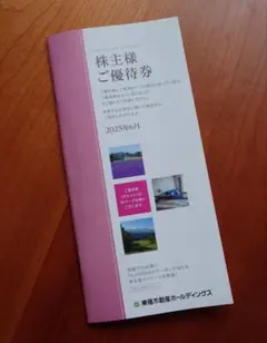 [匿名配送] 東急不動産ホールディングス　株主優待券