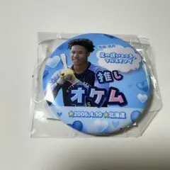 埼玉西武ライオンズ　推しガチャ　缶バッジ　オケムのサムネイル
