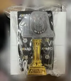 WEST AWARD きみへのトロフィー