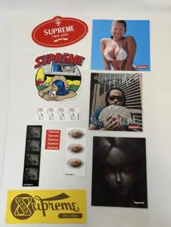 Supreme ステッカーセット - 7