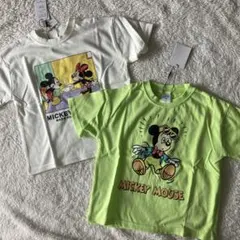 Item thumbnail for item 5c2c34c3-d2d3-45d0-b52b-e0cf5789082a