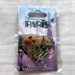 ディズニーランドパリ ミッキー ミニー ミキミニ ピンバッジ 海外