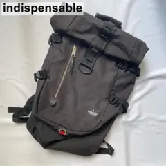 【傷や汚れあり】indispensable フラップリュックサック ブラックのサムネイル