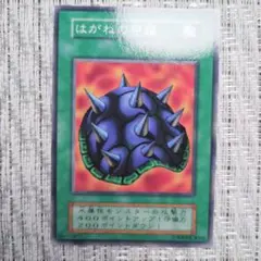 2026年最新】マウンテン・ウォーリアーの人気アイテム - メルカリ