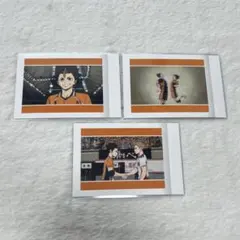 ハイキュー!! ゴミ捨て場の決戦 ぱしゃこれ 西谷夕 東峰旭 夜久衛輔