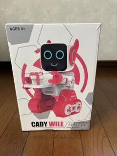 Cady Wile 音声認識ロボット